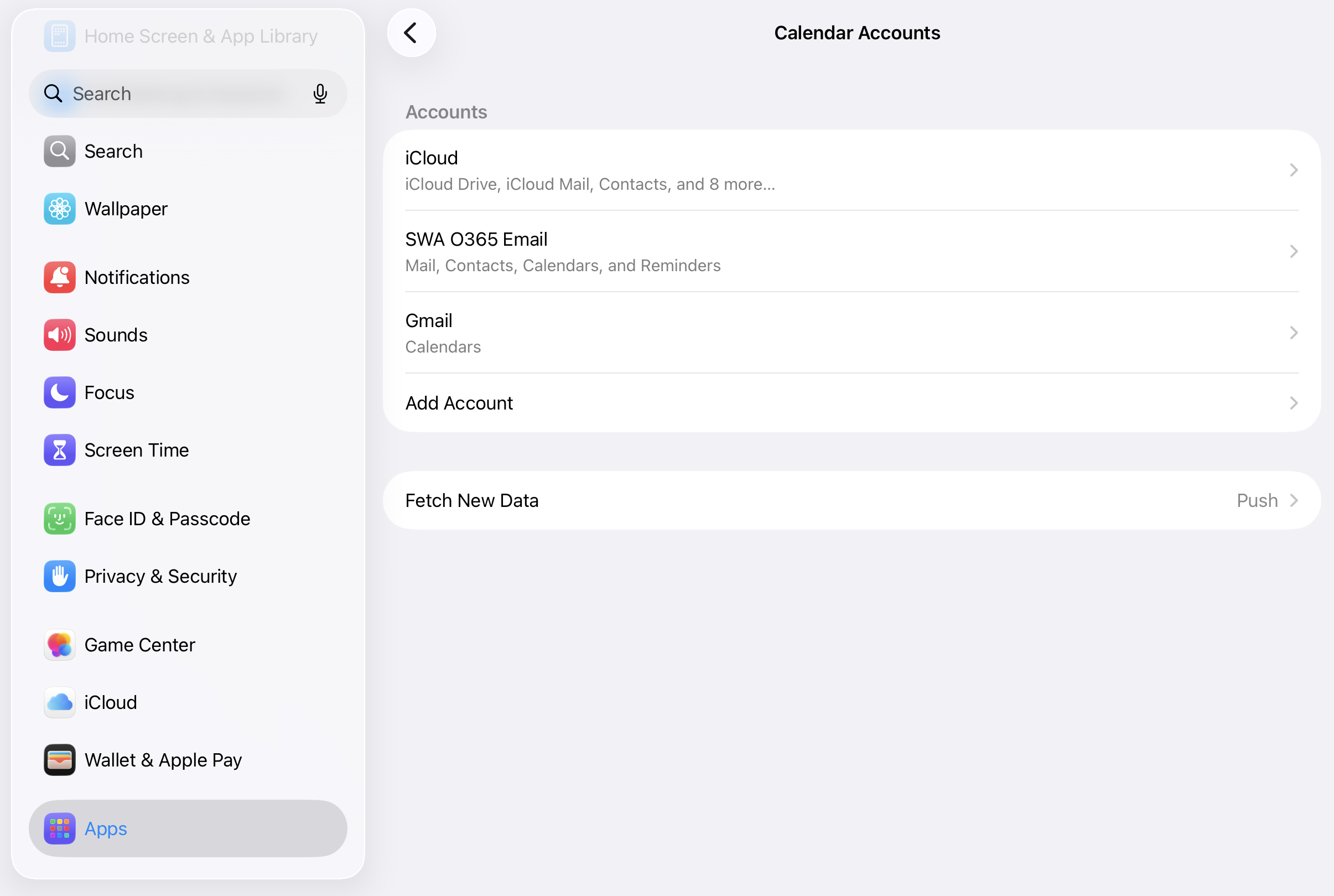 The Google account listed under Calendar Accounts, alongside iCloud and any other accounts